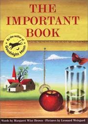 The Important Book cover.
