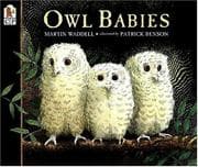 Owl Babies cover.
